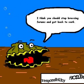 The Responsibility Scallop The Responsibility Scallop